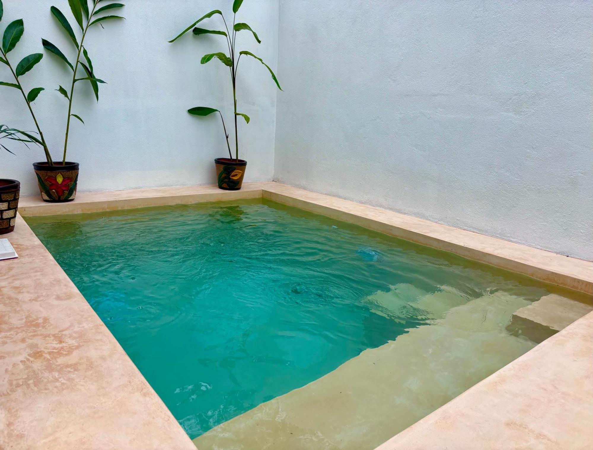 Excelente Alberca Privada En Residencial Privado, Gym, Asador Βίλα Ciudad Valles Εξωτερικό φωτογραφία