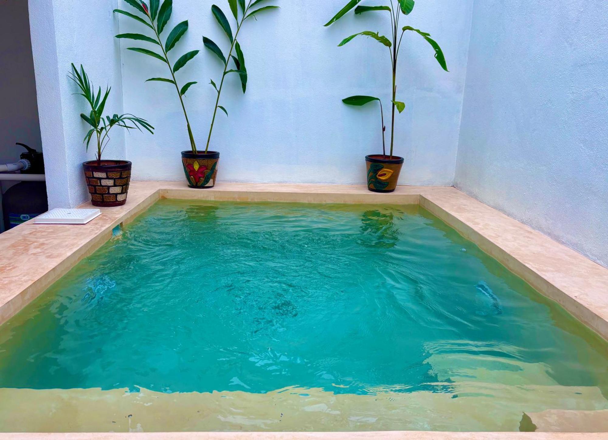 Excelente Alberca Privada En Residencial Privado, Gym, Asador Βίλα Ciudad Valles Εξωτερικό φωτογραφία